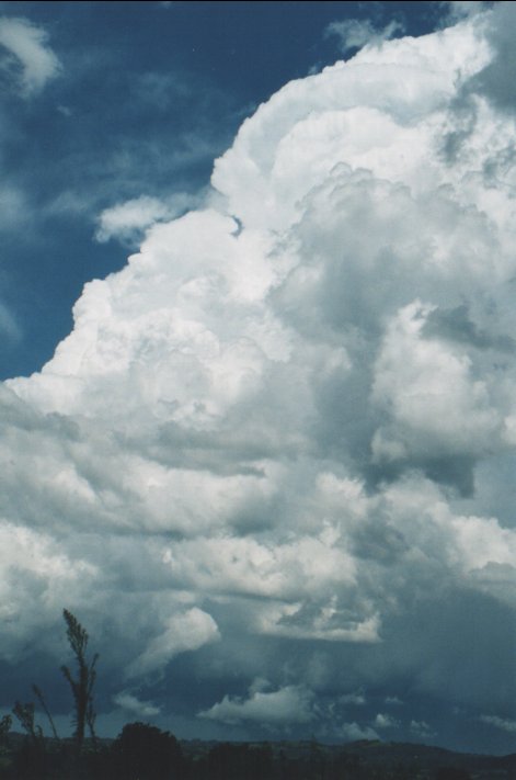 cumulonimbus supercell_thunderstorm : Parrots Nest, NSW   5 January 2000