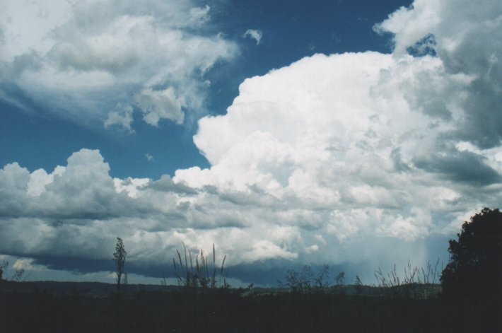 cumulonimbus supercell_thunderstorm : McLeans Ridges, NSW   5 January 2000