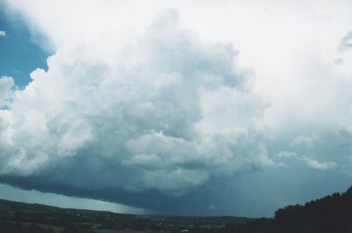 updraft thunderstorm_updrafts : McLeans Ridges, NSW   5 January 2000