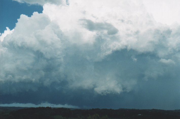 updraft thunderstorm_updrafts : McLeans Ridges, NSW   5 January 2000