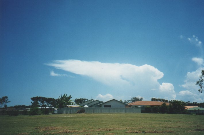 thunderstorm cumulonimbus_incus : Yamba, NSW   5 January 2000