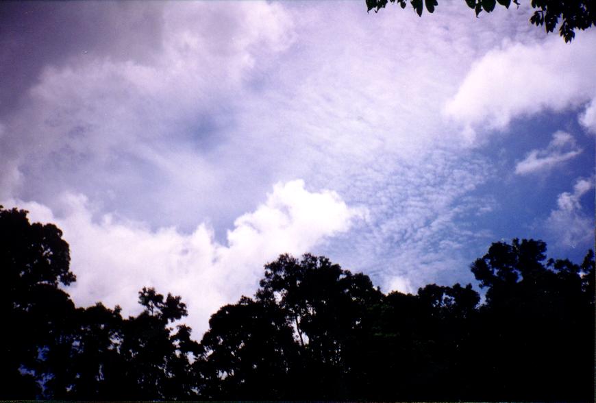 contributions received : Malanda Falls, QLD<BR>Photo by Matthew Saxby   8 January 2000