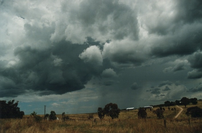 cumulonimbus thunderstorm_base : Moonbi Hill, NSW   17 January 2000