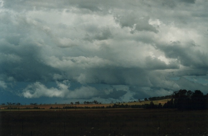 cumulonimbus thunderstorm_base : N of Uralla, NSW   17 January 2000