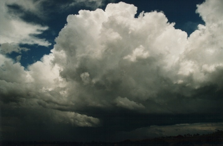 cumulonimbus thunderstorm_base : Ben Lomond Range, NSW   17 January 2000