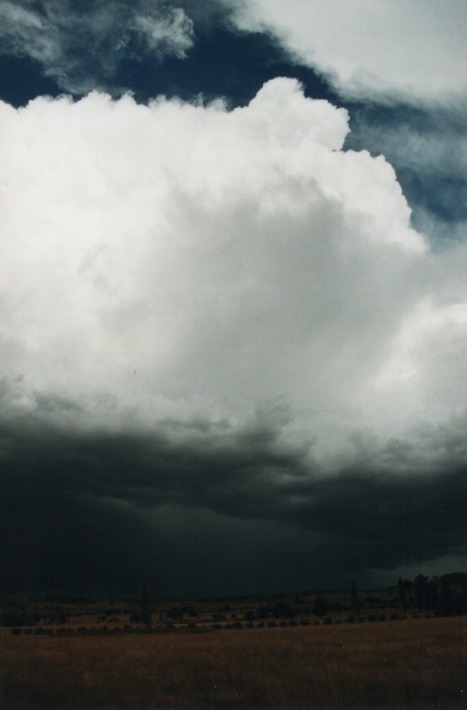 thunderstorm cumulonimbus_incus : Glencoe, NSW   17 January 2000