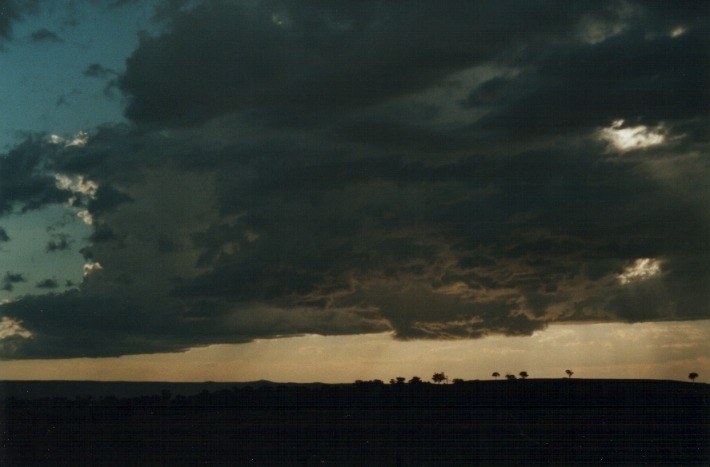 cumulonimbus thunderstorm_base : 20km E of Inverell, NSW   17 January 2000