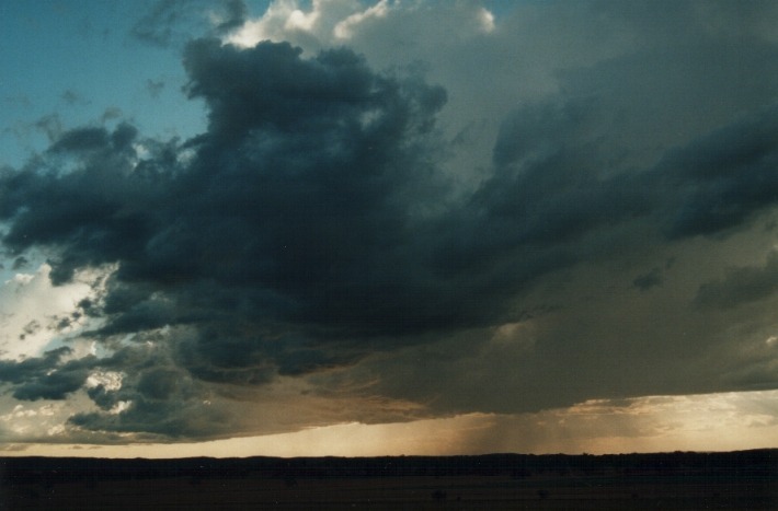 cumulonimbus thunderstorm_base : 10km E of Inverell, NSW   17 January 2000