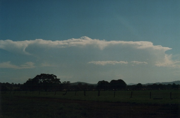 thunderstorm cumulonimbus_incus : Urunga, NSW   19 January 2000