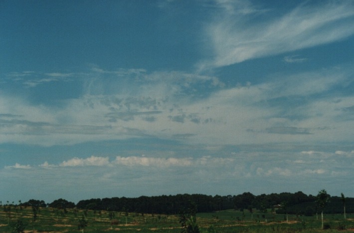cirrus cirrus_cloud : Rous near Lismore, NSW   21 January 2000
