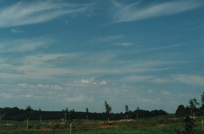 cirrus cirrus_cloud : Rous near Lismore, NSW   21 January 2000