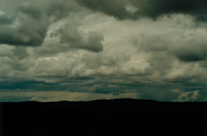 cumulus mediocris : Lithgow, NSW   27 January 2000