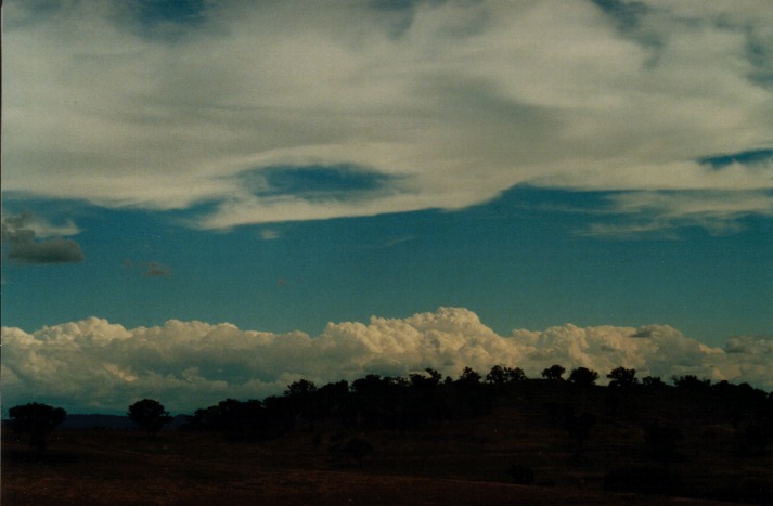 cirrus cirrus_cloud : Bathurst, NSW   27 January 2000