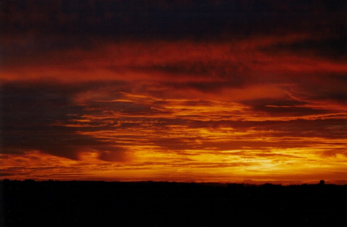 sunrise sunrise_pictures : Schofields, NSW   22 February 2000