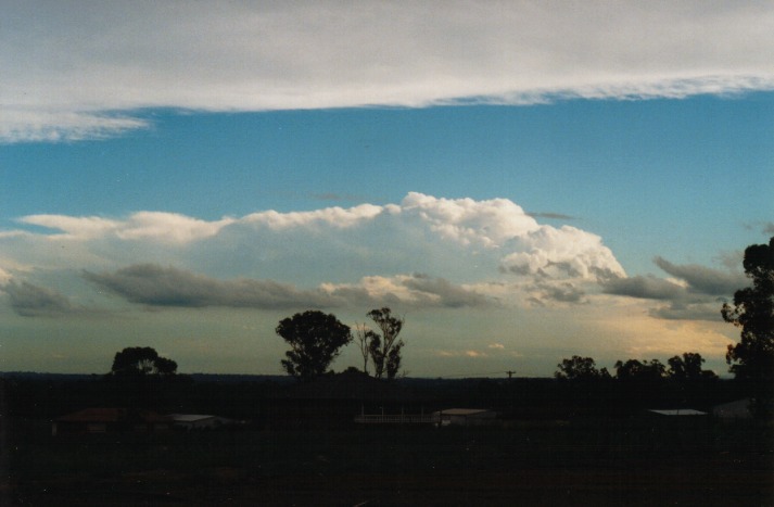 thunderstorm cumulonimbus_incus : Schofields, NSW   9 March 2000