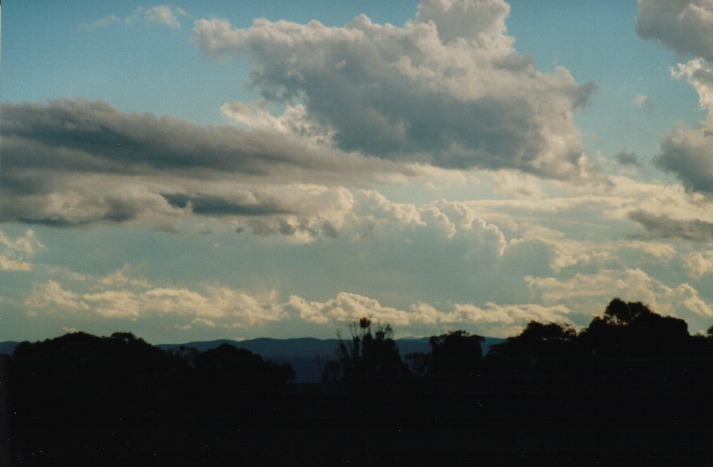 cumulus mediocris : Schofields, NSW   9 March 2000