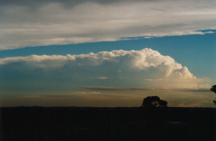 thunderstorm cumulonimbus_incus : Schofields, NSW   9 March 2000