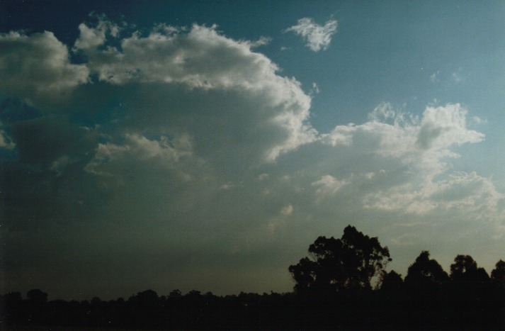 cumulus mediocris : Rooty Hill, NSW   14 March 2000