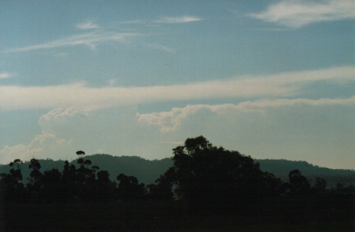 cirrus cirrus_cloud : Denman, NSW   19 March 2000