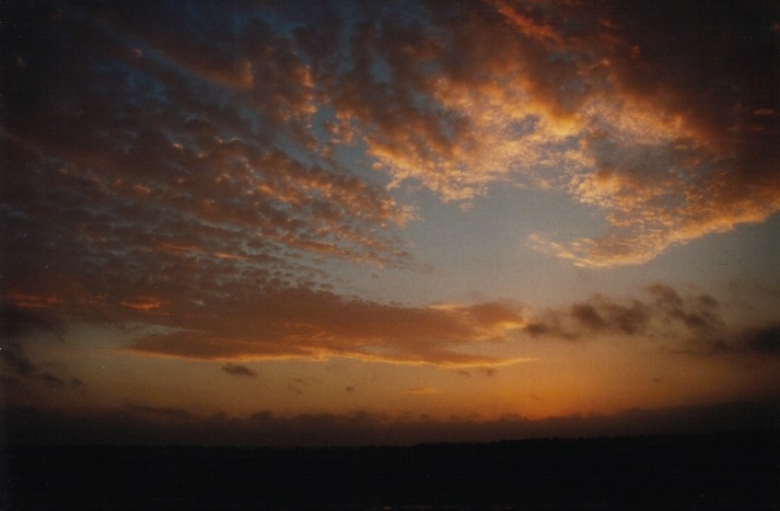 stratus stratus_cloud : Schofields, NSW   4 April 2000