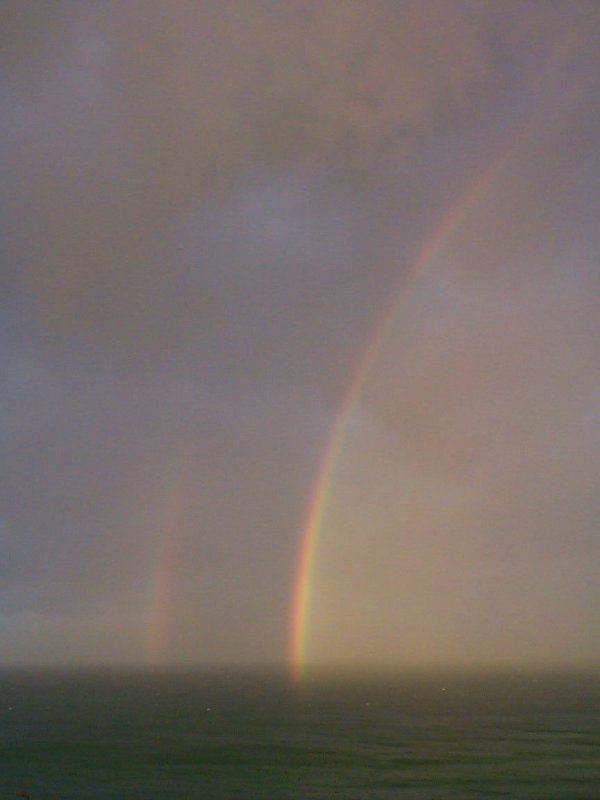 contributions received : Evans Head, NSW<BR>Photo by Halden Boyd   24 April 2000