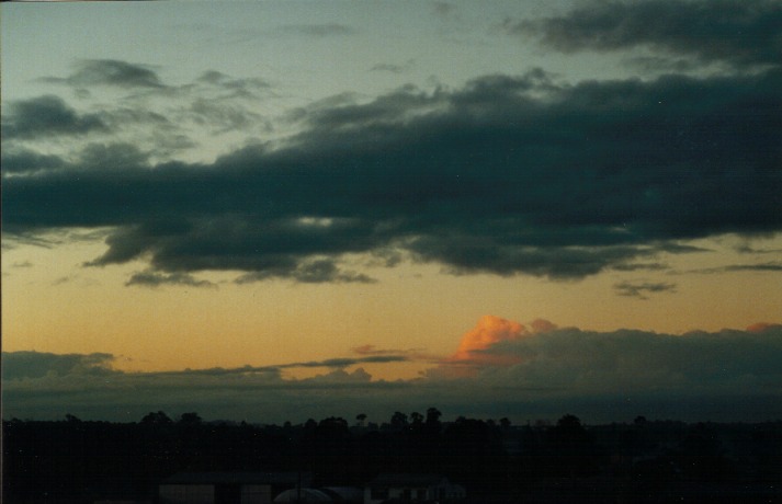 cumulus mediocris : Schofields, NSW   16 May 2000