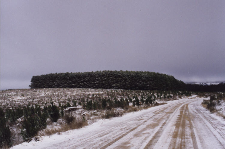 contributions received : Oberon region, NSW<BR>Photo by Jeff Brislane   28 May 2000