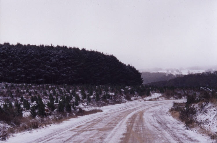 contributions received : Oberon region, NSW<BR>Photo by Jeff Brislane   28 May 2000