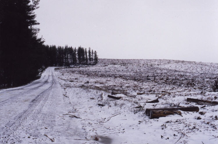 contributions received : Shooters Hill, NSW<BR>Photo by Jeff Brislane   28 May 2000