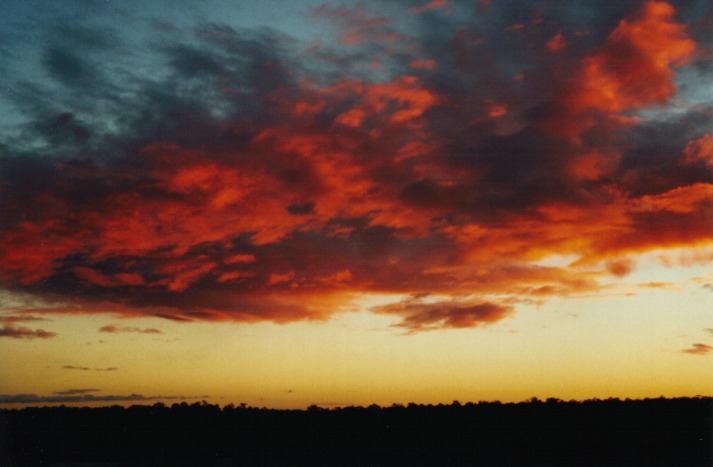 favourites jimmy_deguara : Schofields, NSW   5 June 2000