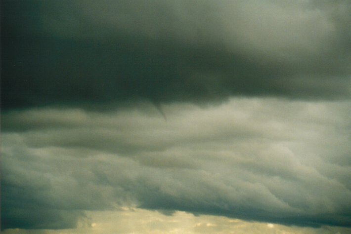 tornadoes funnel_tornado_waterspout : McLeans Ridges, NSW   16 June 2000