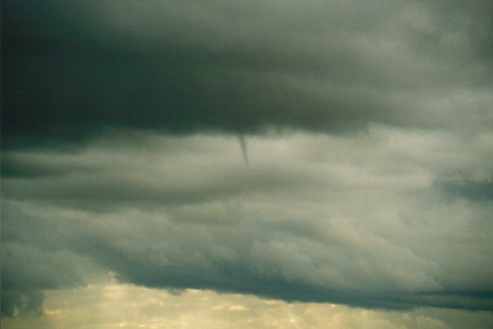 favourites michael_bath : McLeans Ridges, NSW   16 June 2000