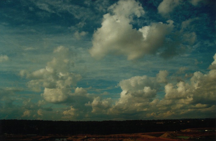 cumulus congestus : Schofields, NSW   18 June 2000