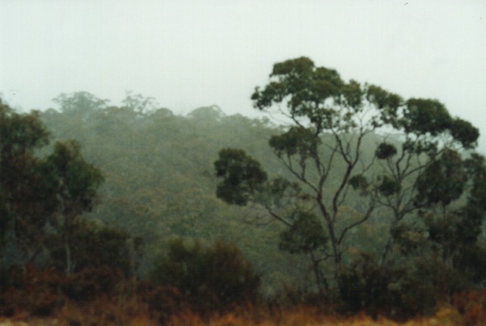 raincascade precipitation_cascade : Lithgow, NSW   29 June 2000