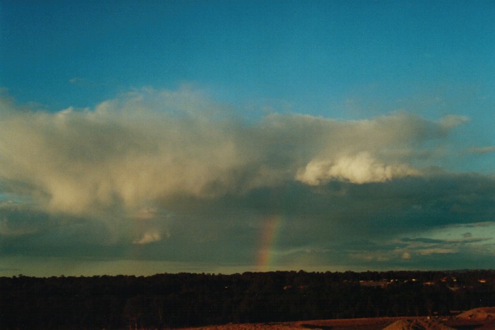 cumulus mediocris : Schofields, NSW   9 July 2000