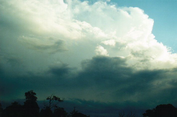 stratus stratus_cloud : McLeans Ridges, NSW   9 July 2000
