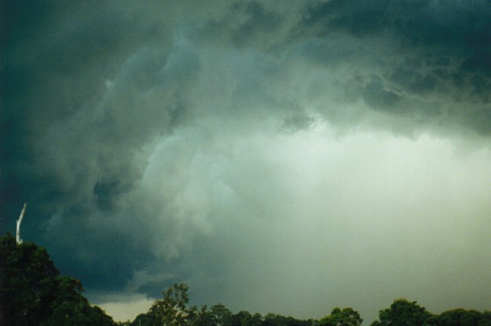 cumulonimbus thunderstorm_base : McLeans Ridges, NSW   9 July 2000
