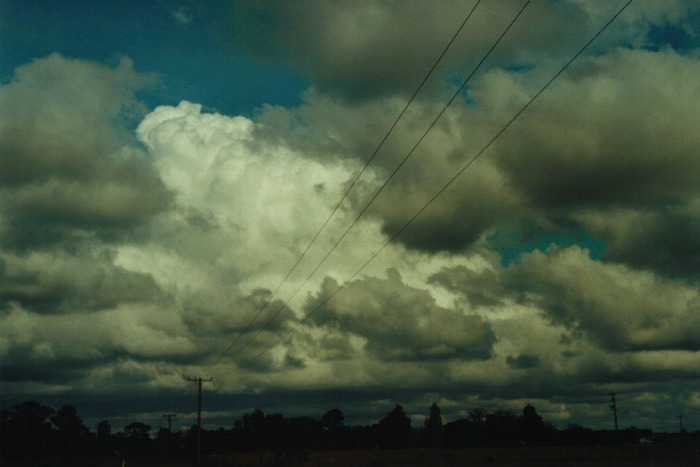 thunderstorm cumulonimbus_calvus : Narrabri, NSW   10 July 2000