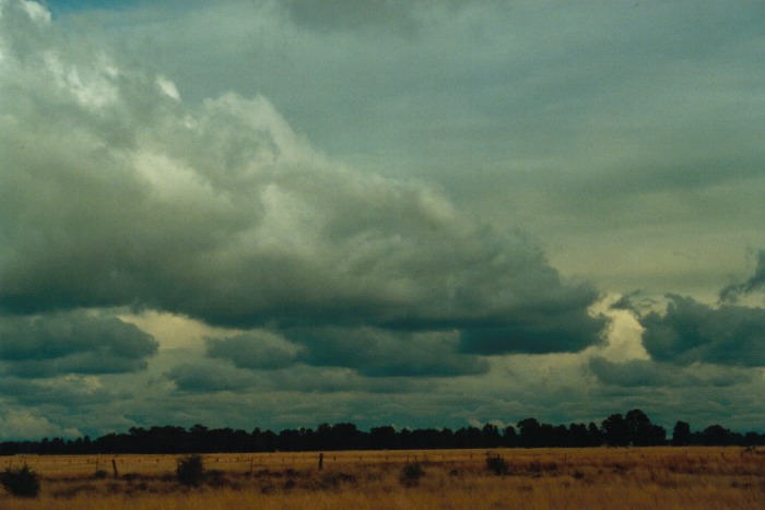 altostratus altostratus_cloud : Narrabri, NSW   10 July 2000