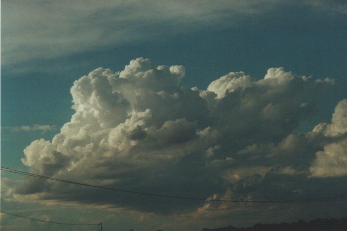 thunderstorm cumulonimbus_calvus : Schofields, NSW   1 August 2000