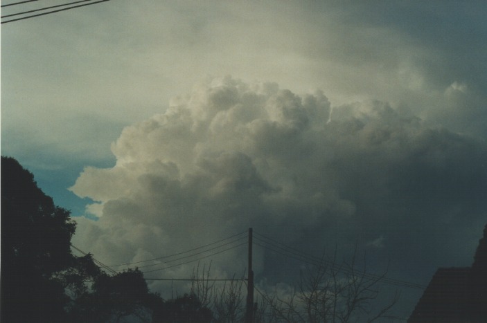 thunderstorm cumulonimbus_calvus : Riverstone, NSW   1 August 2000
