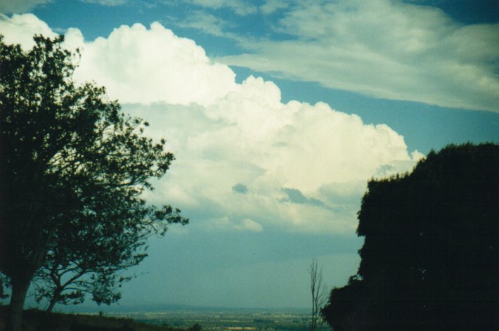 thunderstorm cumulonimbus_calvus : Rous, NSW   20 August 2000