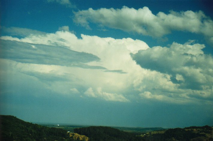 thunderstorm cumulonimbus_calvus : Meerschaum, NSW   20 August 2000