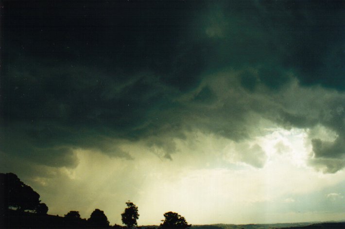 raincascade precipitation_cascade : McLeans Ridges, NSW   23 August 2000