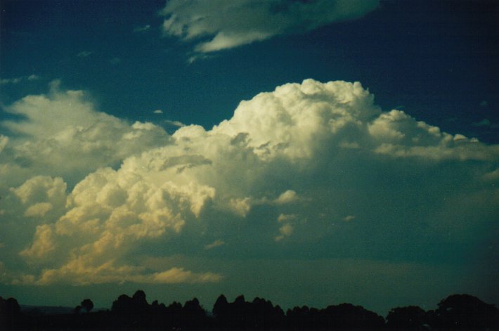 thunderstorm cumulonimbus_calvus : McLeans Ridges, NSW   23 August 2000