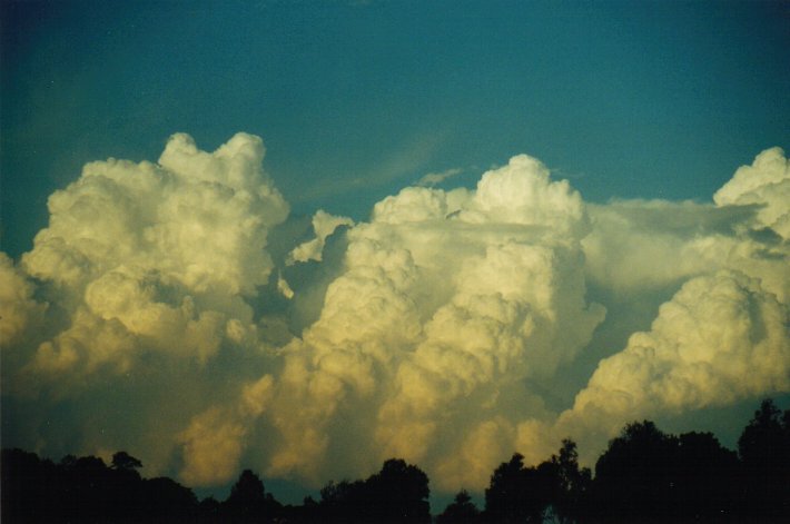 thunderstorm cumulonimbus_calvus : McLeans Ridges, NSW   23 August 2000