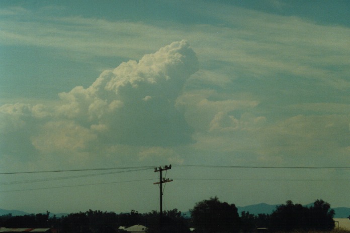 cirrus cirrus_cloud : Gunnedah, NSW   21 September 2000