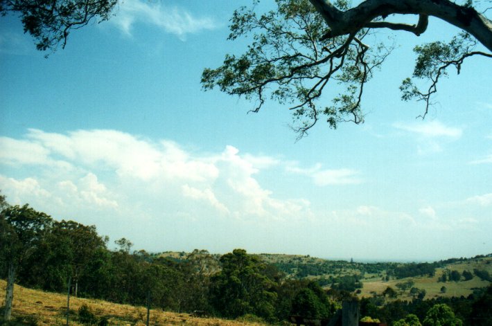 cumulus congestus : Tregeagle, NSW   27 September 2000