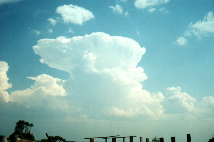 anvil thunderstorm_anvils : Tregeagle, NSW   27 September 2000