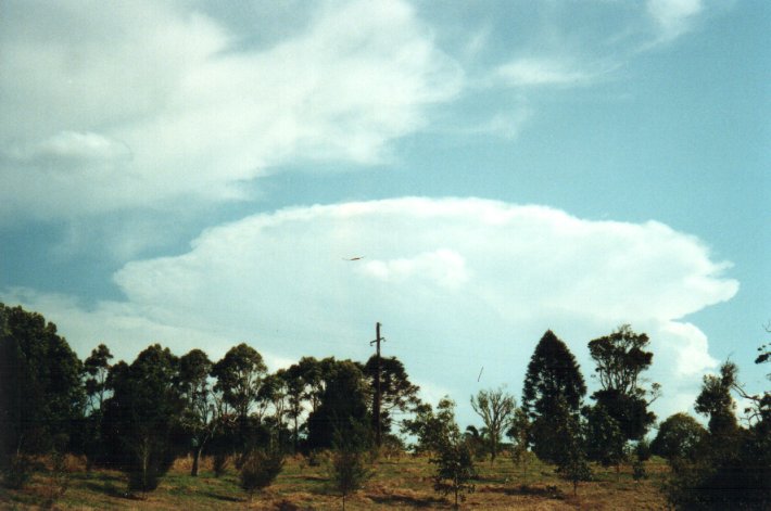 cirrus cirrus_cloud : McLeans Ridges, NSW   27 September 2000